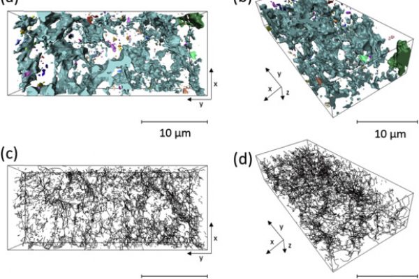 Microsoft Word - R3 Brown et al -Investigating Microstructural E