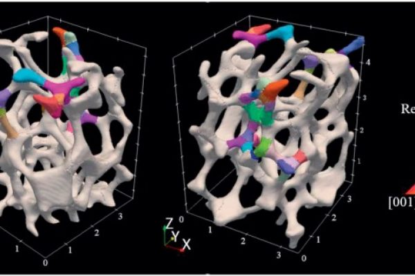 1-s2.0-S104458031831338X-gr6