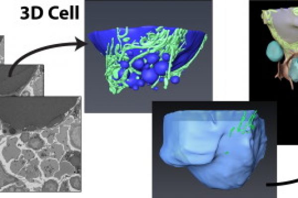 1-s2.0-S8756328218300206-fx1