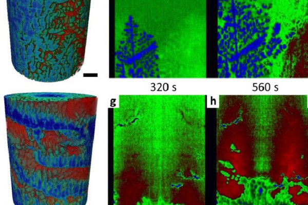 Revealing the mechanisms by which magneto-hydrodynamics disrupts solidification microstructures