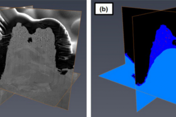 3D Electron microscopy characterization of Ag mound-like surface structures made by femtosecond laser surface processing_avizo-software