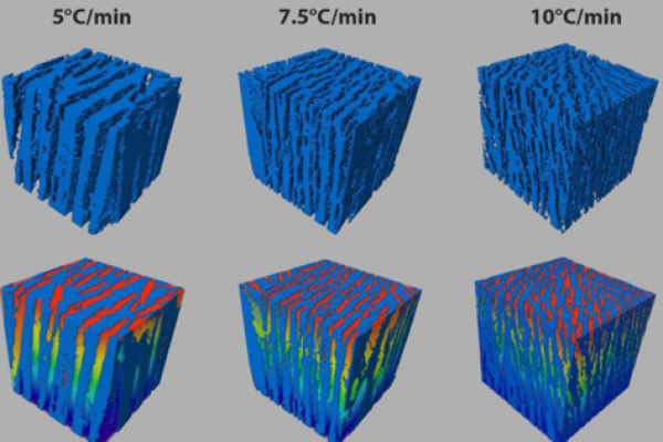 3D-reconstructed-NCA-electrodes