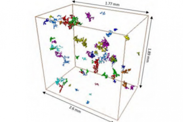 3D reconstruction of the typical shrinkage pores in the