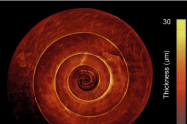 4-14-2021 10-47-52 AM