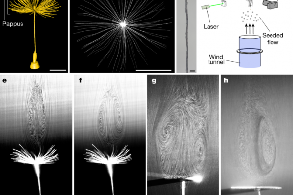 41586_2018_604_Fig1_HTML