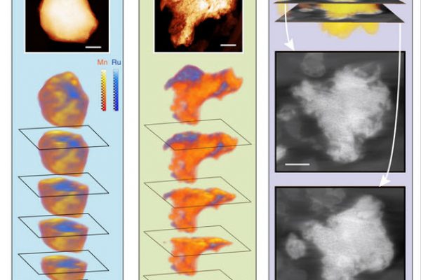 Anomalous metal segregation in lithium-rich material provides design rules for stable cathode in lithium-ion battery
