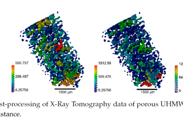 Avizo-post-processing-of-polymer