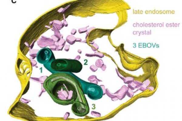 Captura de pantalla 2023-04-25 164013