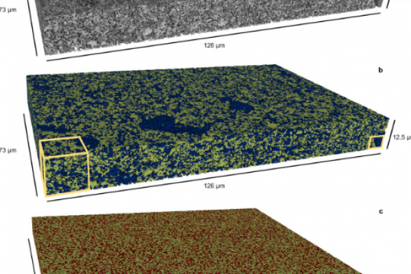 Mesoscale characterization of local property distributions in heterogeneous electrodes_avizo-software