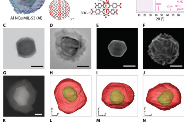 Metal-organic frameworks tailor the properties of aluminum nanocrystals_avizo-software