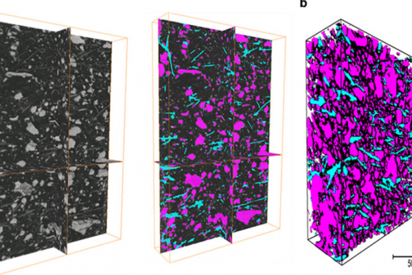 Multi-modal plasma focused ion beam serial section tomography of an organic paint coating_avizo-software