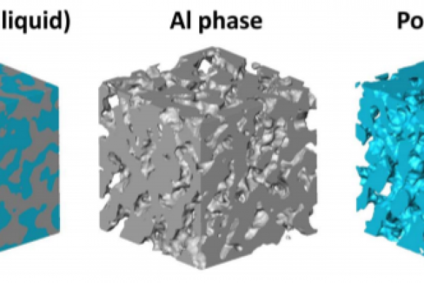 Nanoporous Aluminum by Galvanic Replacement Dealloying and Inward-Growth Plating_avizo-software