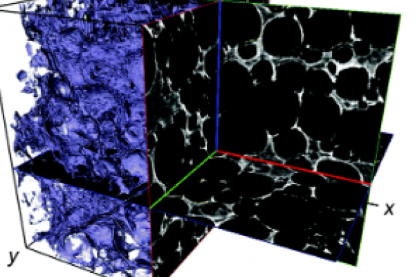 Nondestructive, longitudinal measurement of collagen scaffold degradation using computed tomography and gold nanoparticles_avizo-software