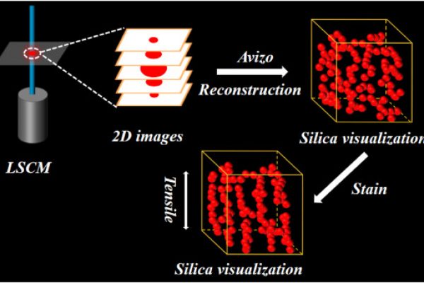 Polymer Filler Network Analysis