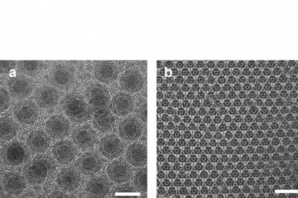 Representative BFTEM images of sample