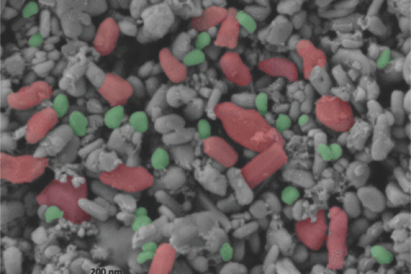 SEM-secondary-electron