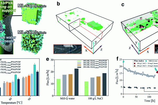 Schematic diagram of the nanocomposite pervaporation membrane for brine treatment