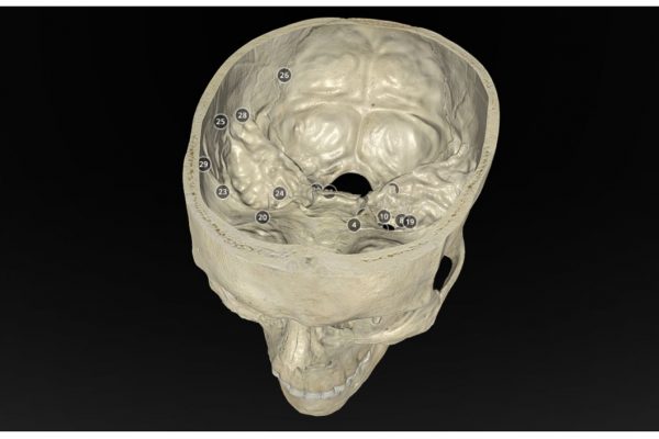 Screenshot 2022-03-30 143753