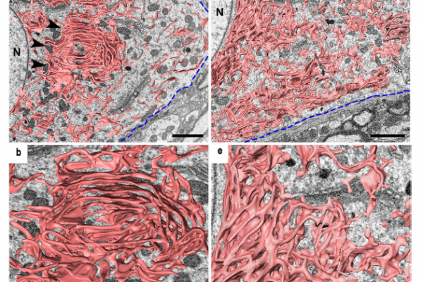 Screenshot 2024-09-06 141211