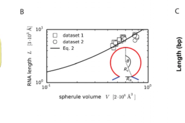 Screenshot 2025-05-30 111106