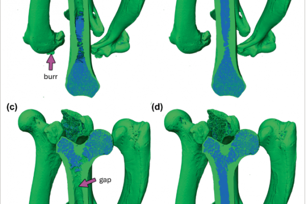 Screenshot 2025-05-30 114230