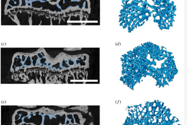 Screenshot 2025-05-30 121229