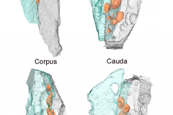 Screenshot 2025-05-30 122619