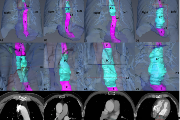 Screenshot 2025-05-30 155653