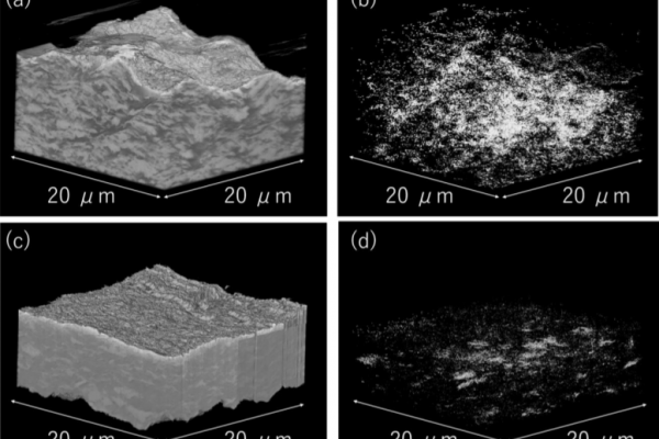 composite-electrode-of-NMC-LATP
