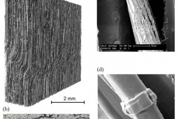 damage micromechanics