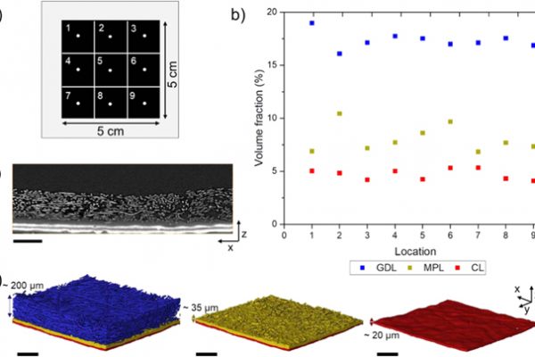 Visualisation and data processing with software Avizo