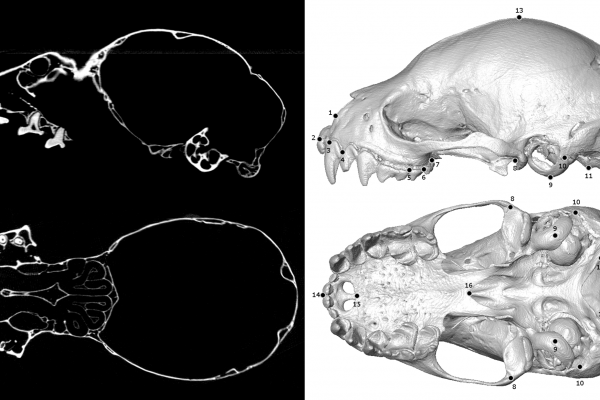 journal.pone.0203022.g003