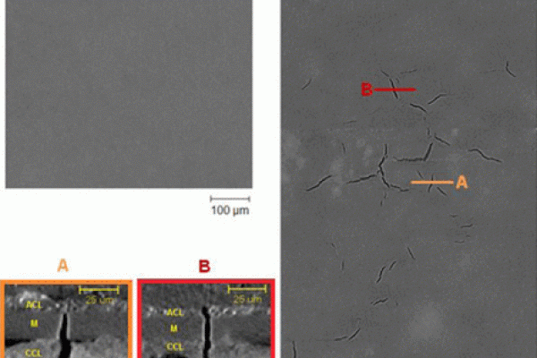 mechanical-degradation
