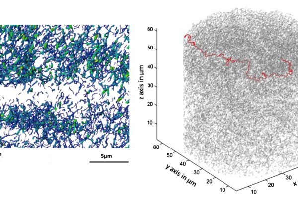 pore-skeletonisation