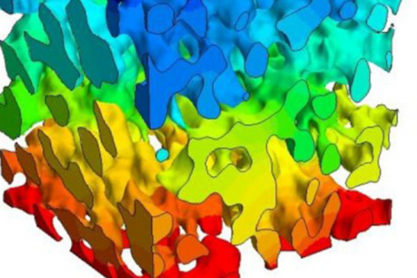 useref_avizo_Tortuosity in electrochemical devices a review of calculation approaches