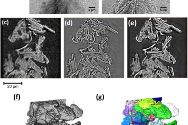 x-ray-graphite-electrode